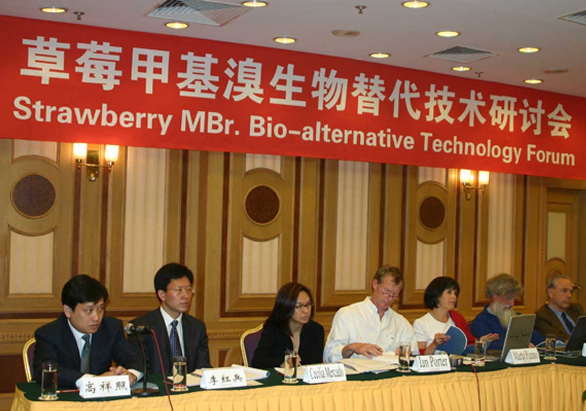 聯(lián)合國環(huán)境署、聯(lián)合國工發(fā)組織等機構出席了我公司舉行的草莓甲基溴生物替代技術(shù)研討會(huì )